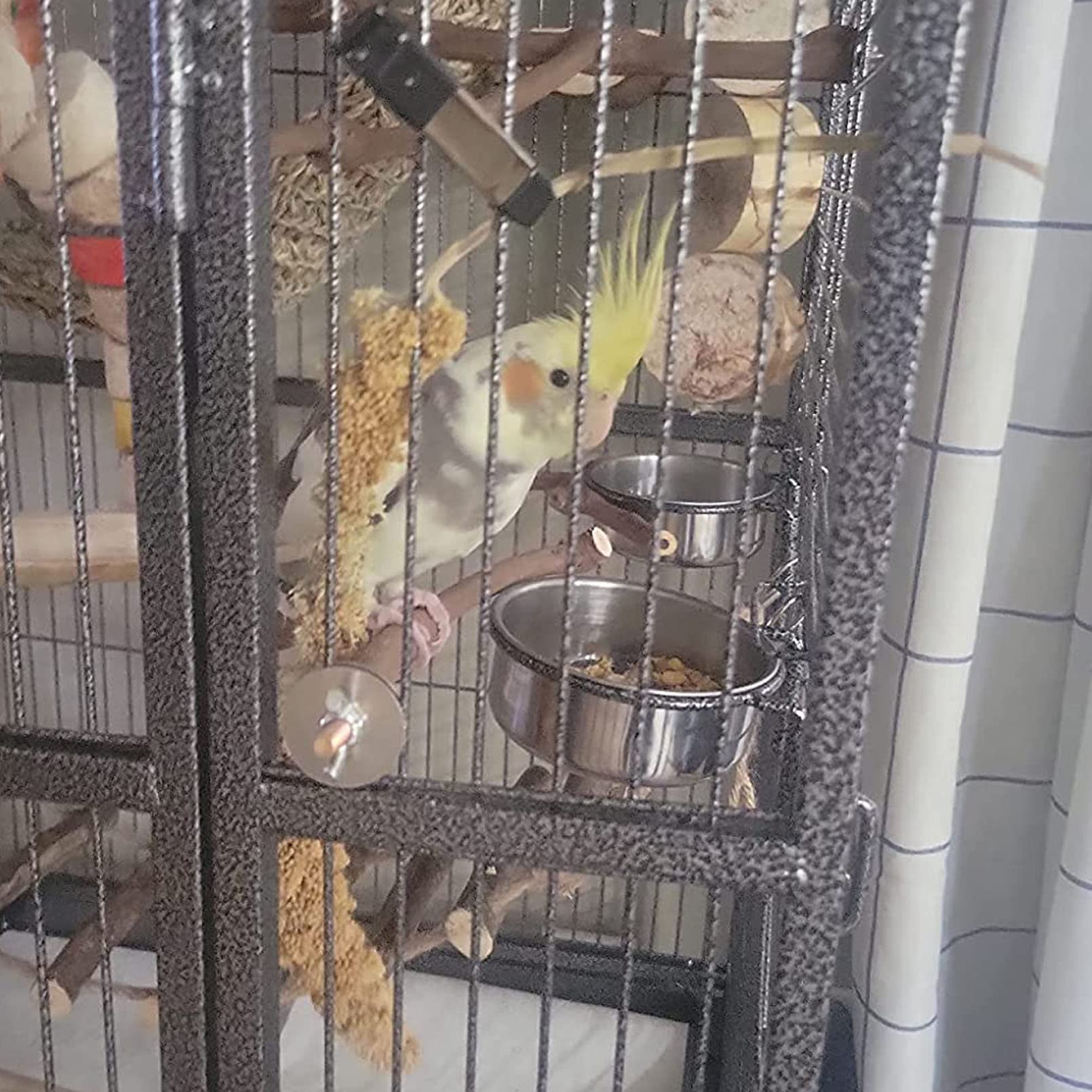 Kathson rattan ball toys provide safe enrichment during cage time.