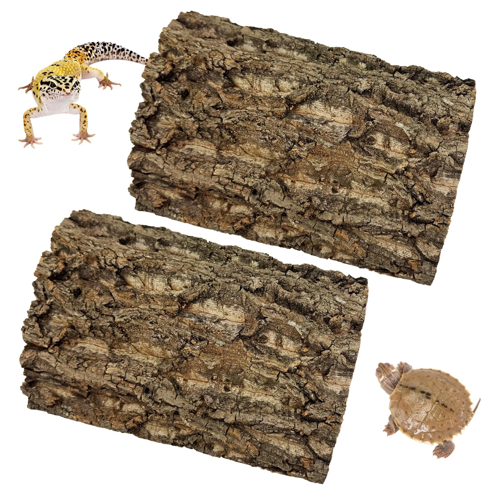 kathson cork background full setup creates natural terrarium backdrop for reptiles