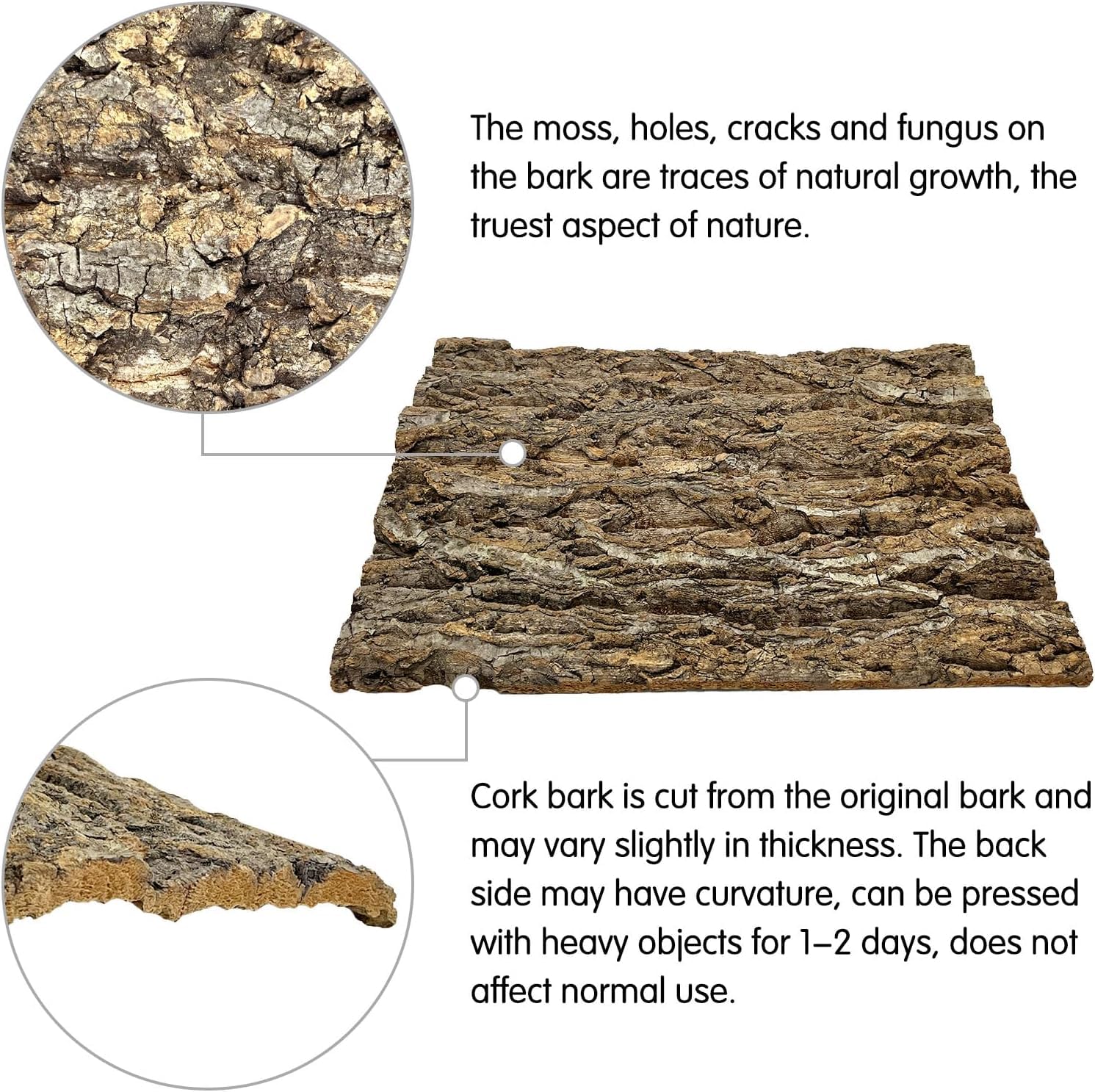 kathson cork background installation easy shows quick terrarium setup