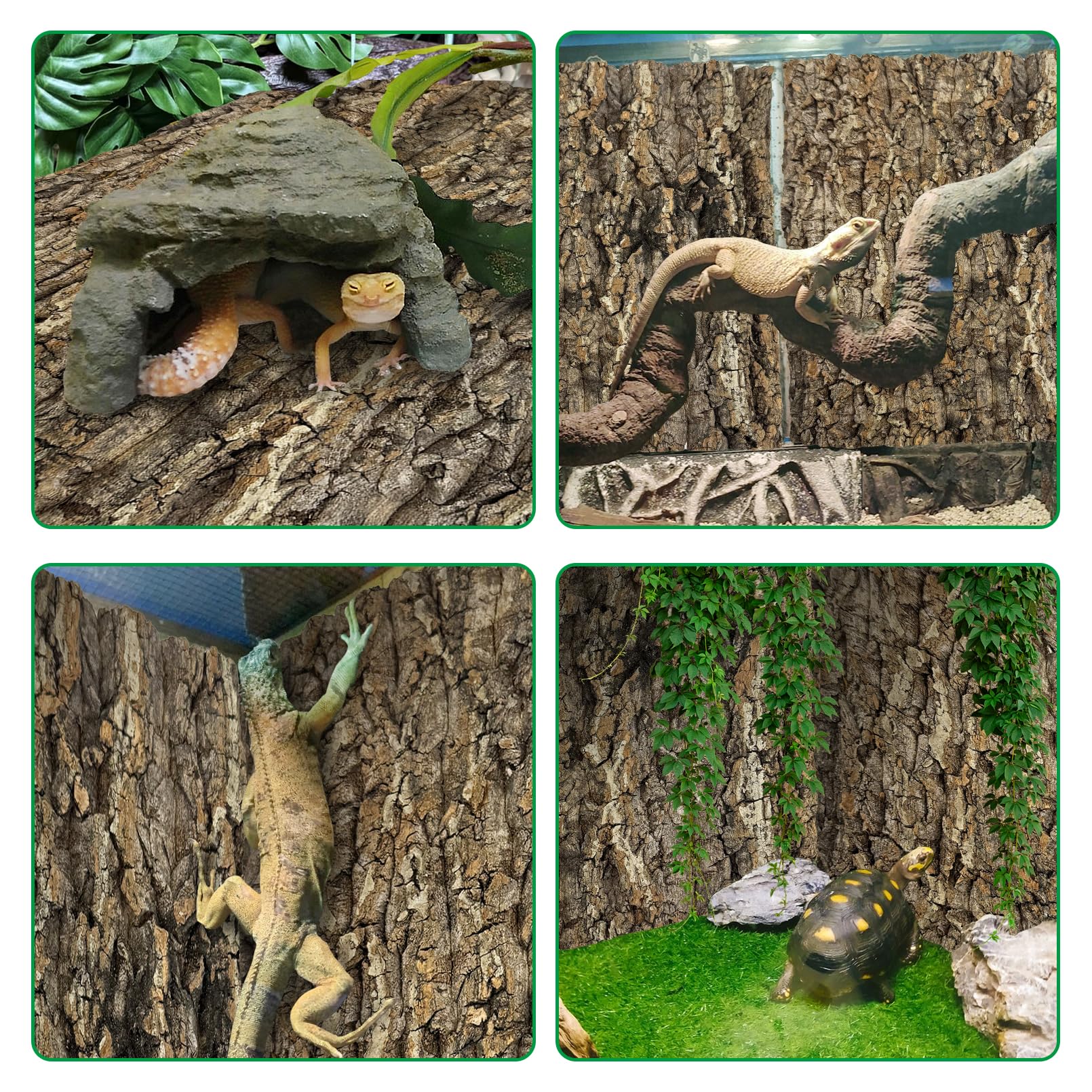 kathson cork background moisture protection surface helps keep terrarium drier