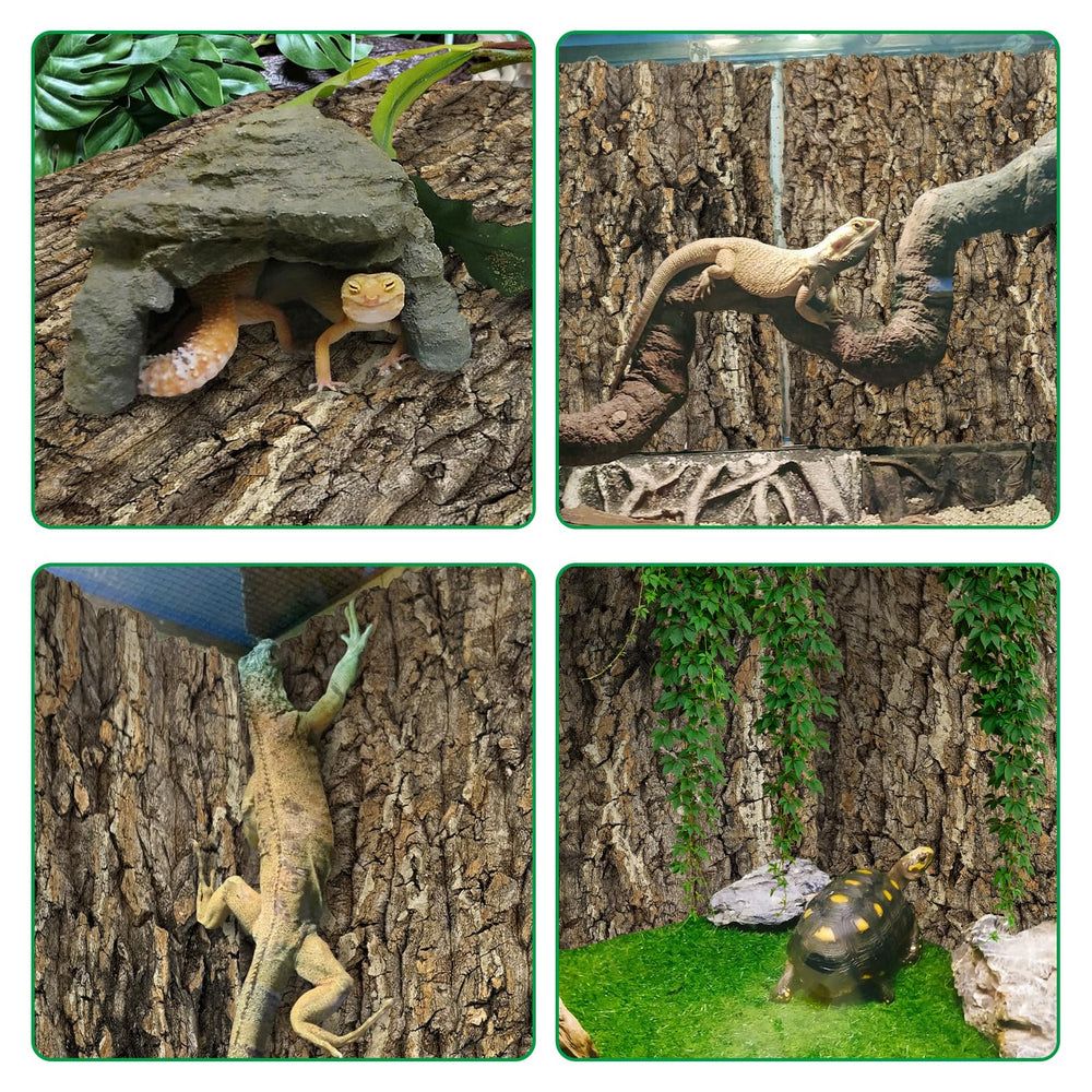 kathson cork background moisture protection surface helps keep terrarium drier