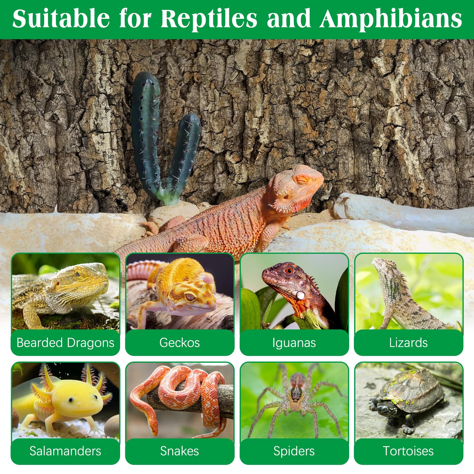 kathson cork background reptile-compatible surface for bearded dragons and geckos