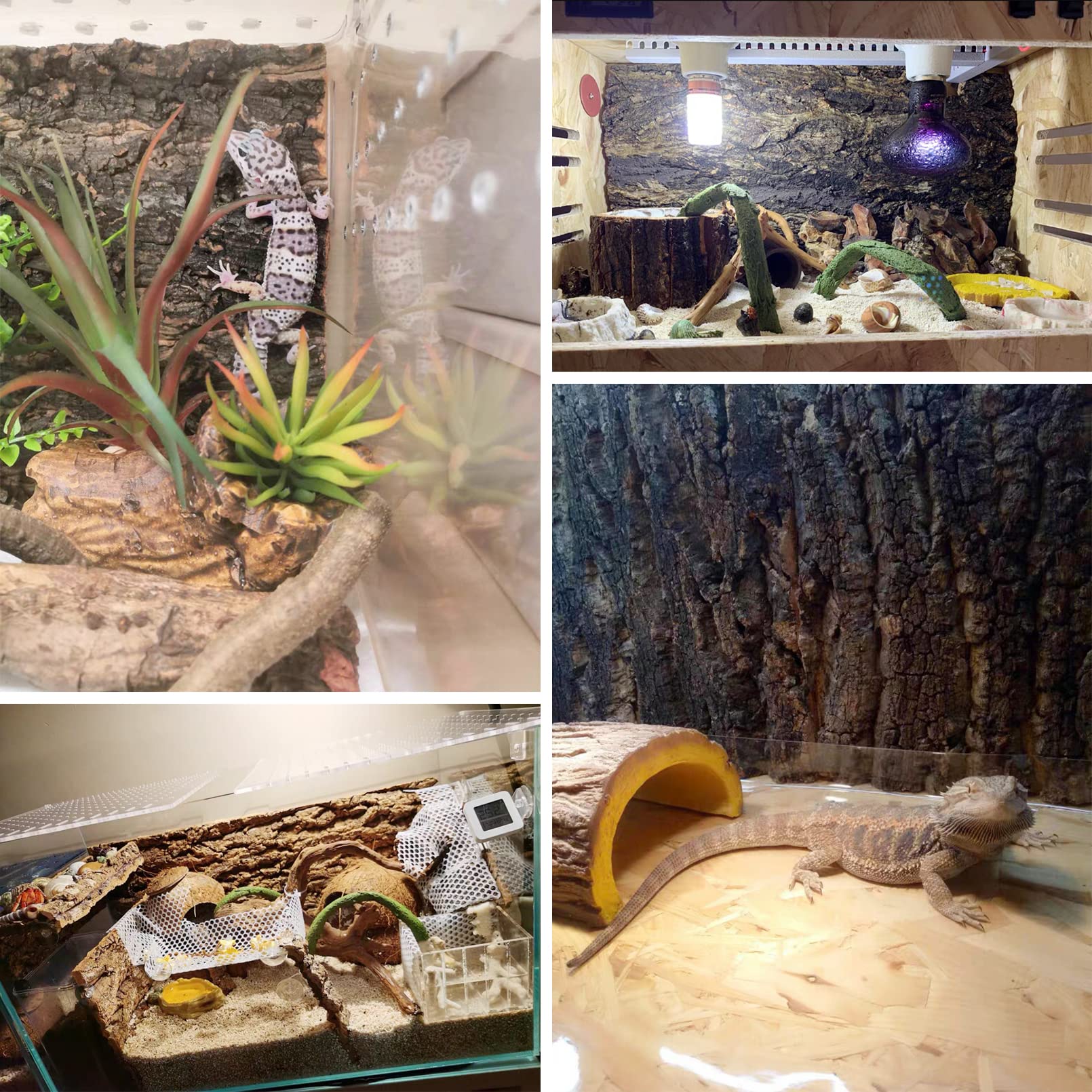 kathson cork background terrarium decor ideas featuring natural look and climbing surface