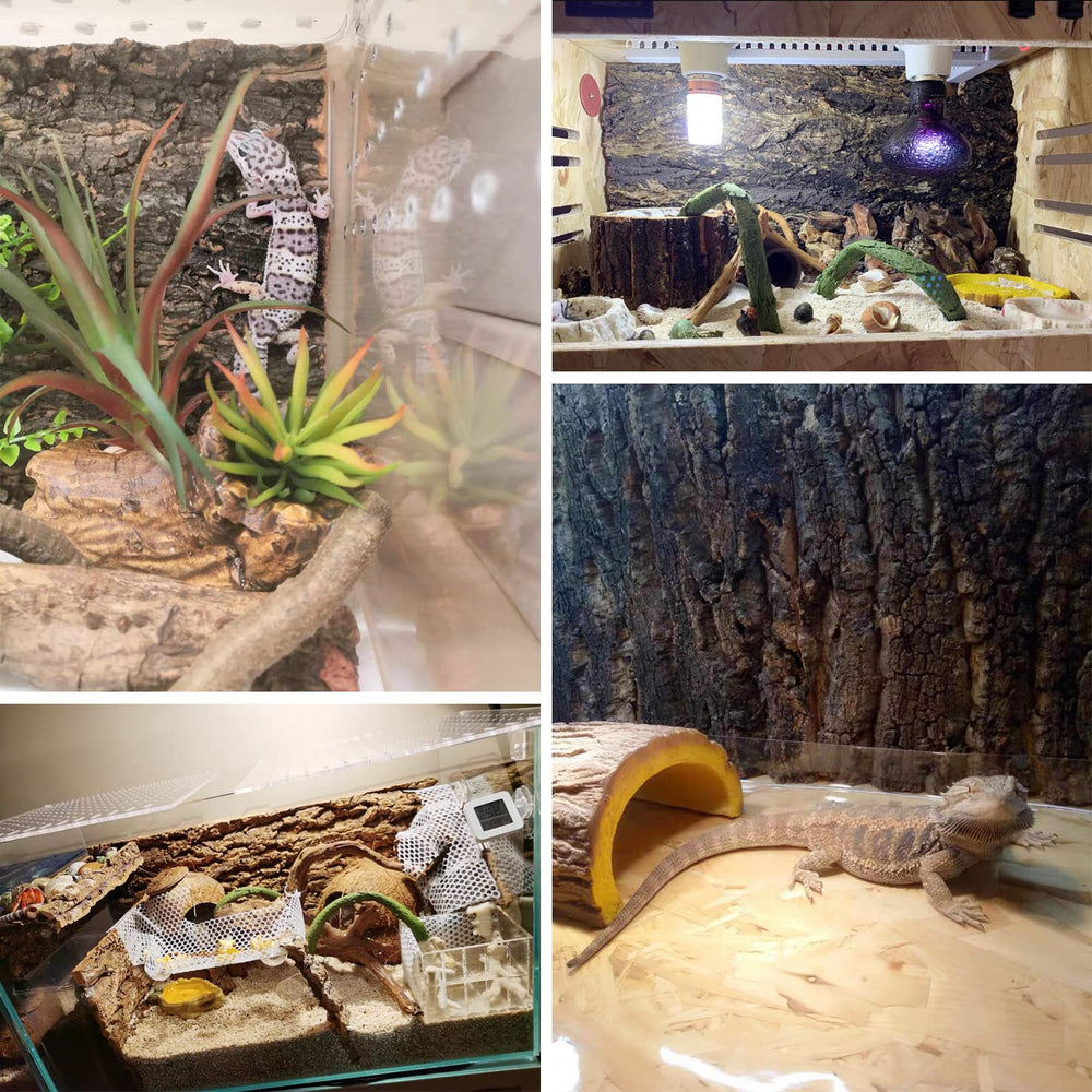 kathson cork background terrarium decor ideas featuring natural look and climbing surface