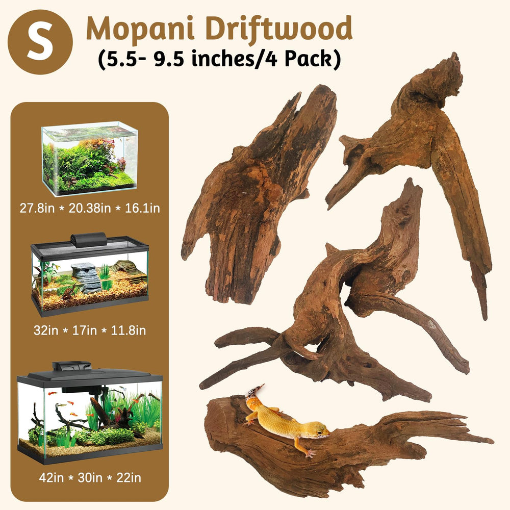 Kathson driftwood branch in terrarium provides climbing structure for reptiles