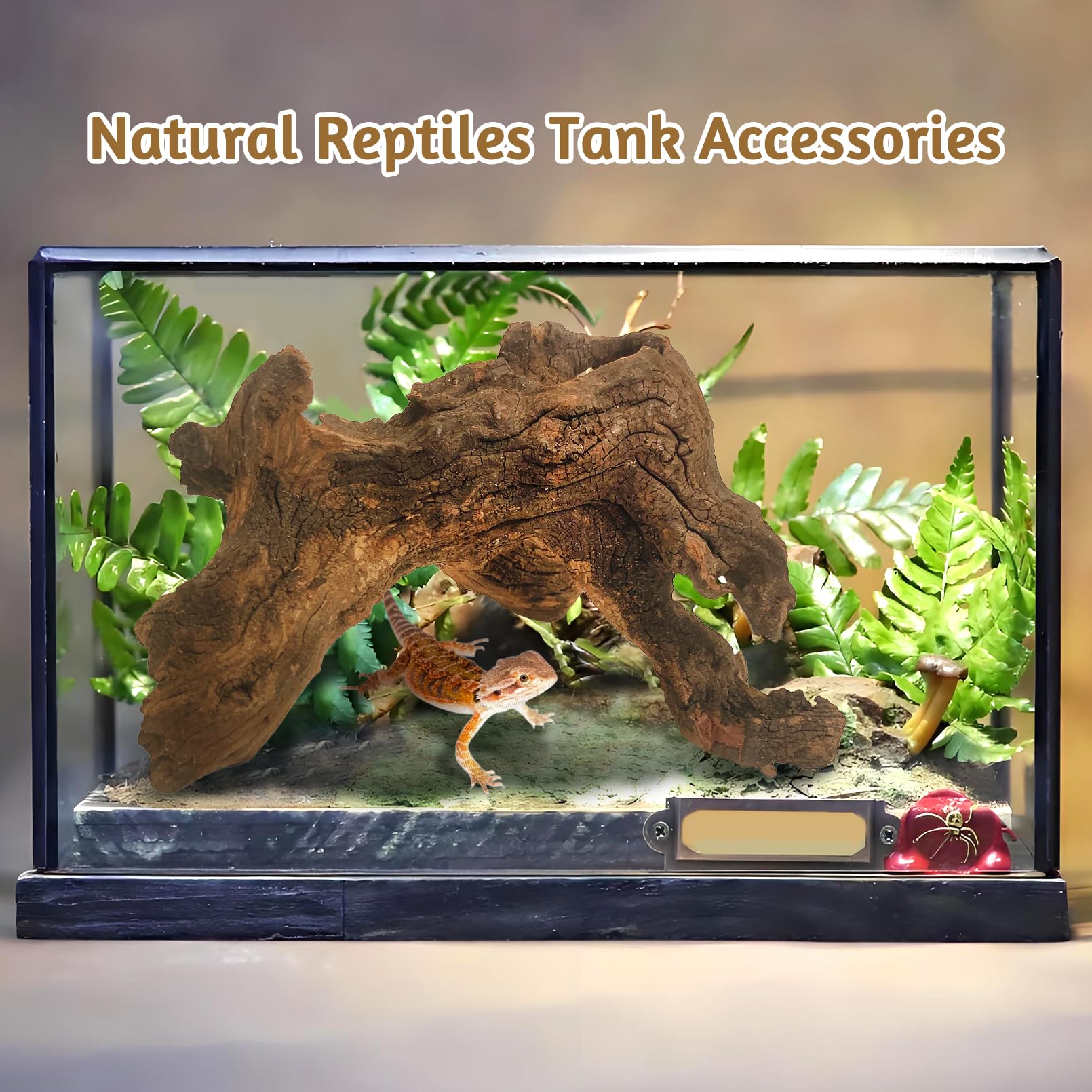 Kathson natural wood branches invite curious aquatics and reptiles