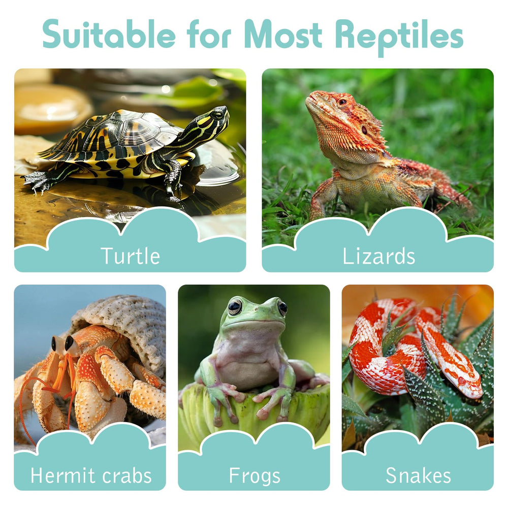 Kathson durable ABS construction ensures long-lasting reptile accessories.