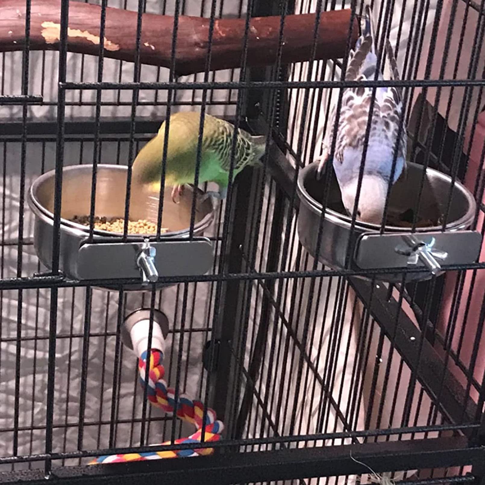 Kathson durable clips keep bowls attached to cages during active feeding.