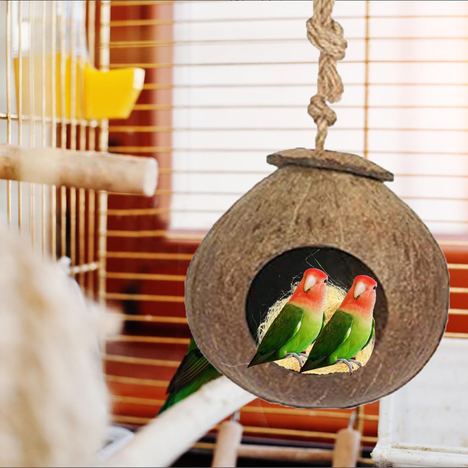 Kathson feeding spoon included for convenient treats