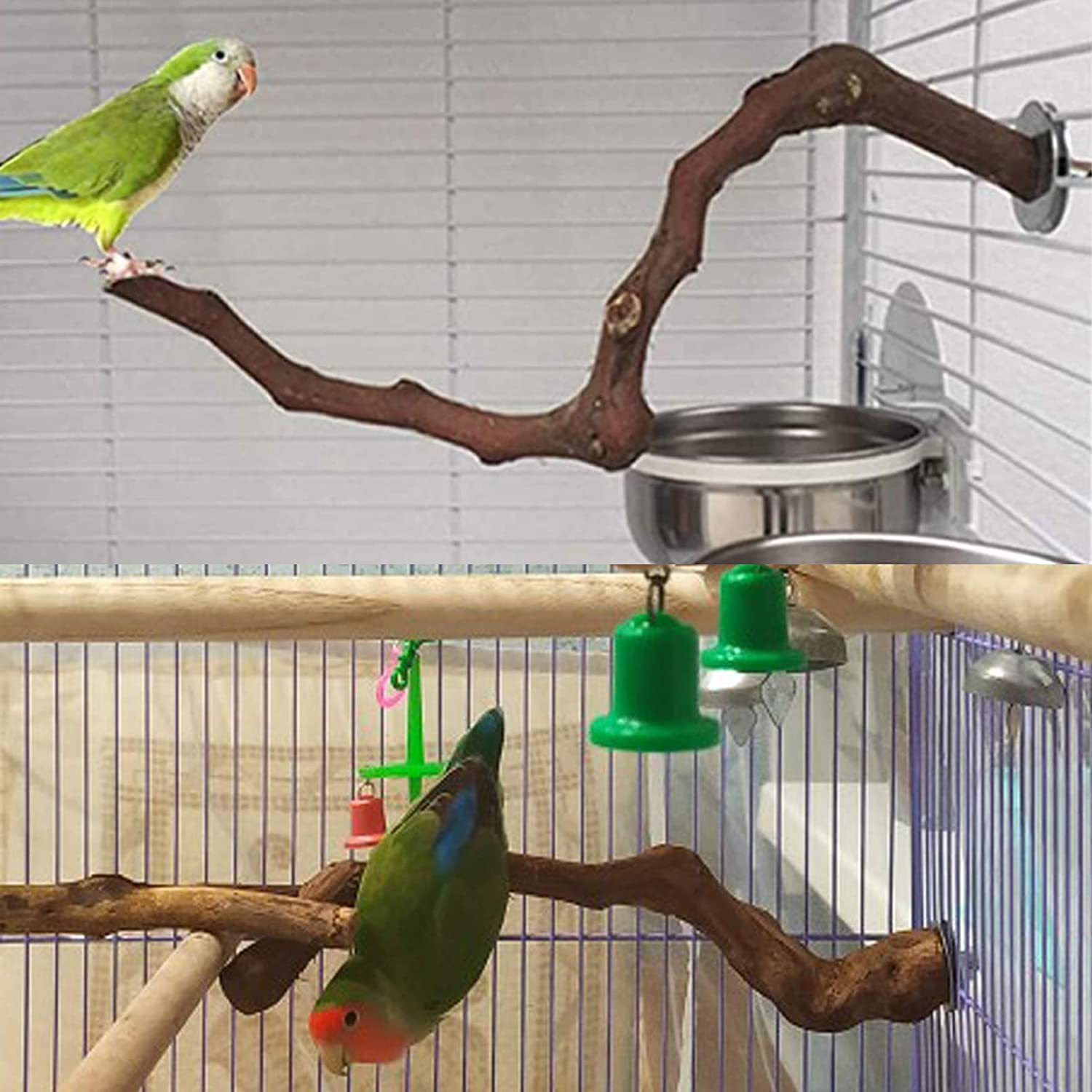 Kathson grapevine perch enrichment promotes play and social comfort