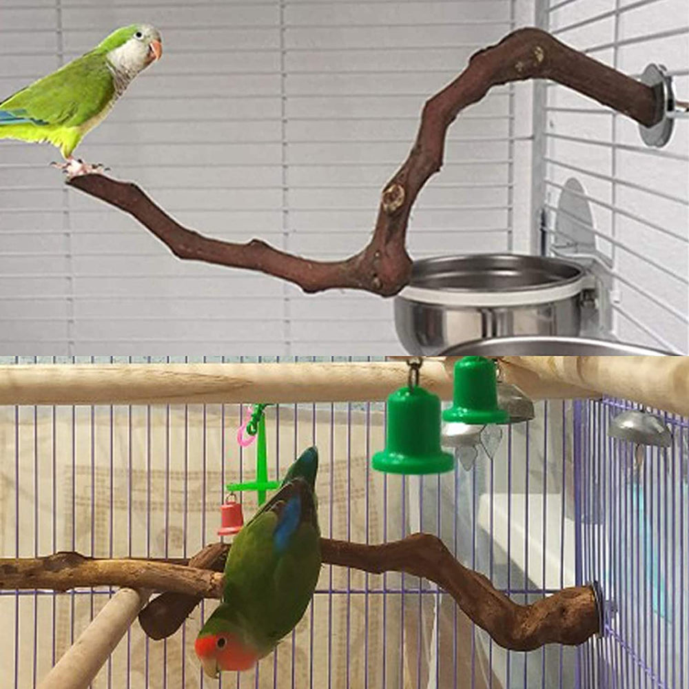 Kathson grapevine perch enrichment promotes play and social comfort