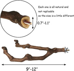 Kathson grapevine perch branch angle install demonstrates simple cage setup