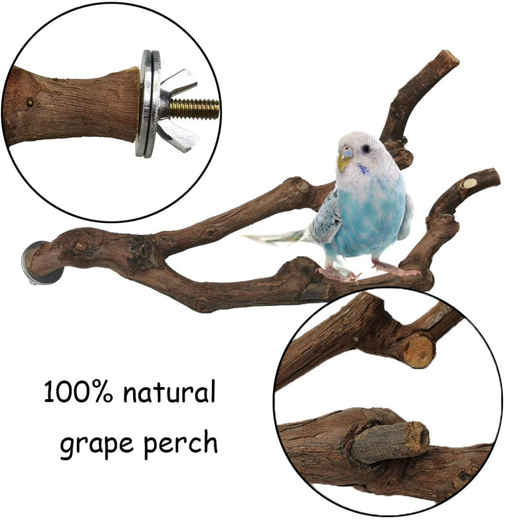 Kathson grapevine perch textured surface helps birds cling securely during play