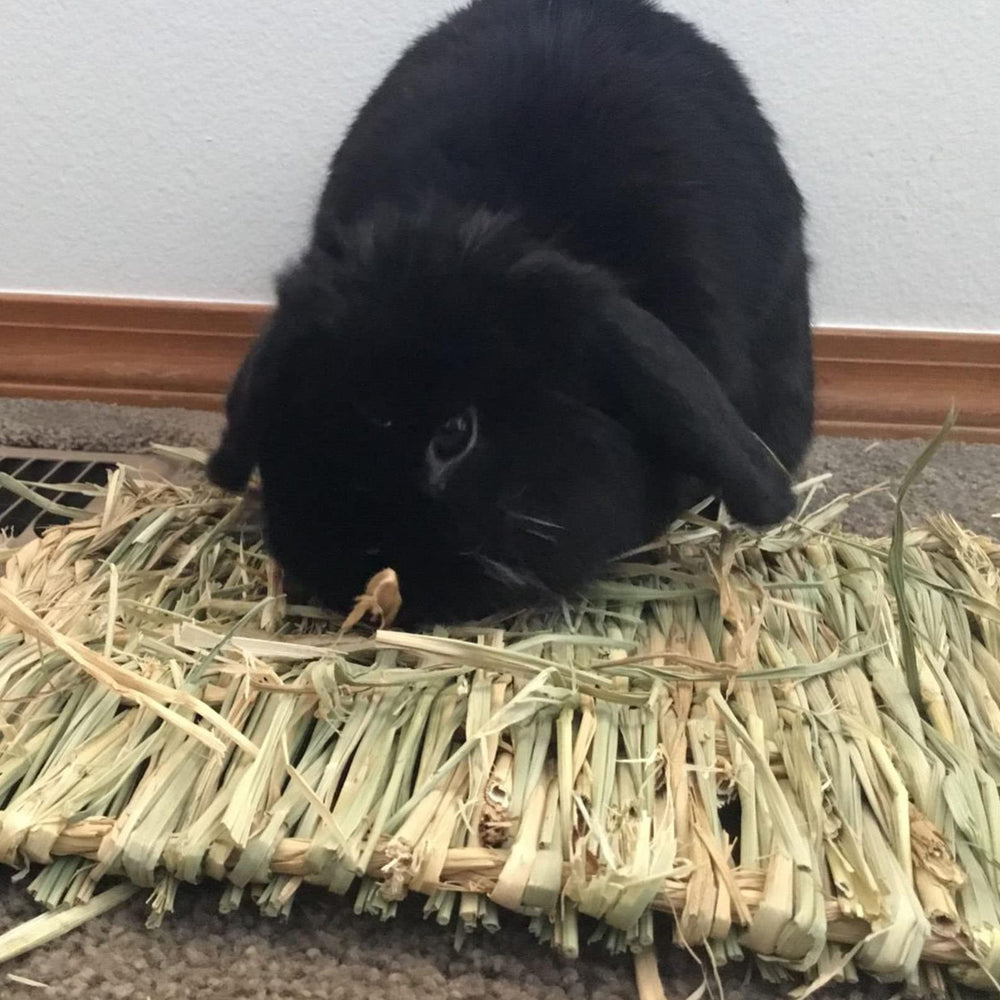 Kathson 8-piece pack ready for versatile bedding and enrichment.
