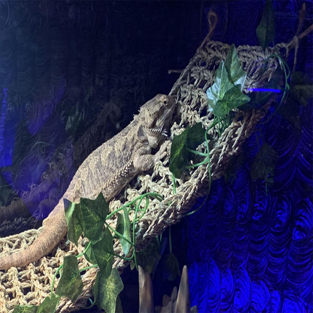 Kathson hammock closeup seagrass highlights texture and durability