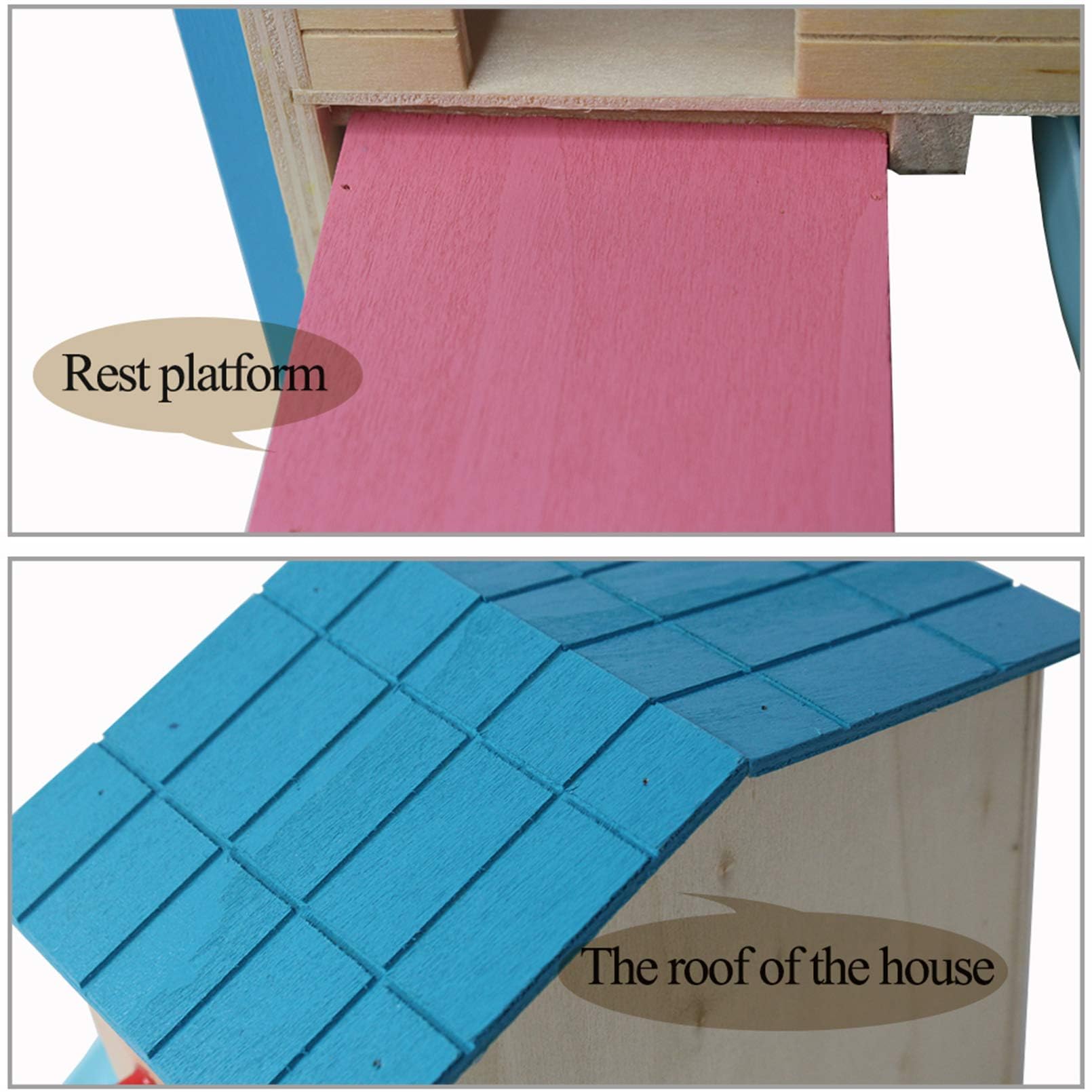 Kathson hamster house blue inside view reveals nesting space