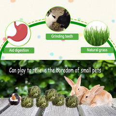 Kathson hand-woven hay ball closeup showing natural texture for nibbling