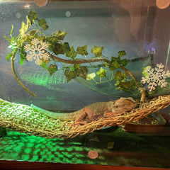 Kathson hanging vines 85 cm decor in tank for natural feel and climbing