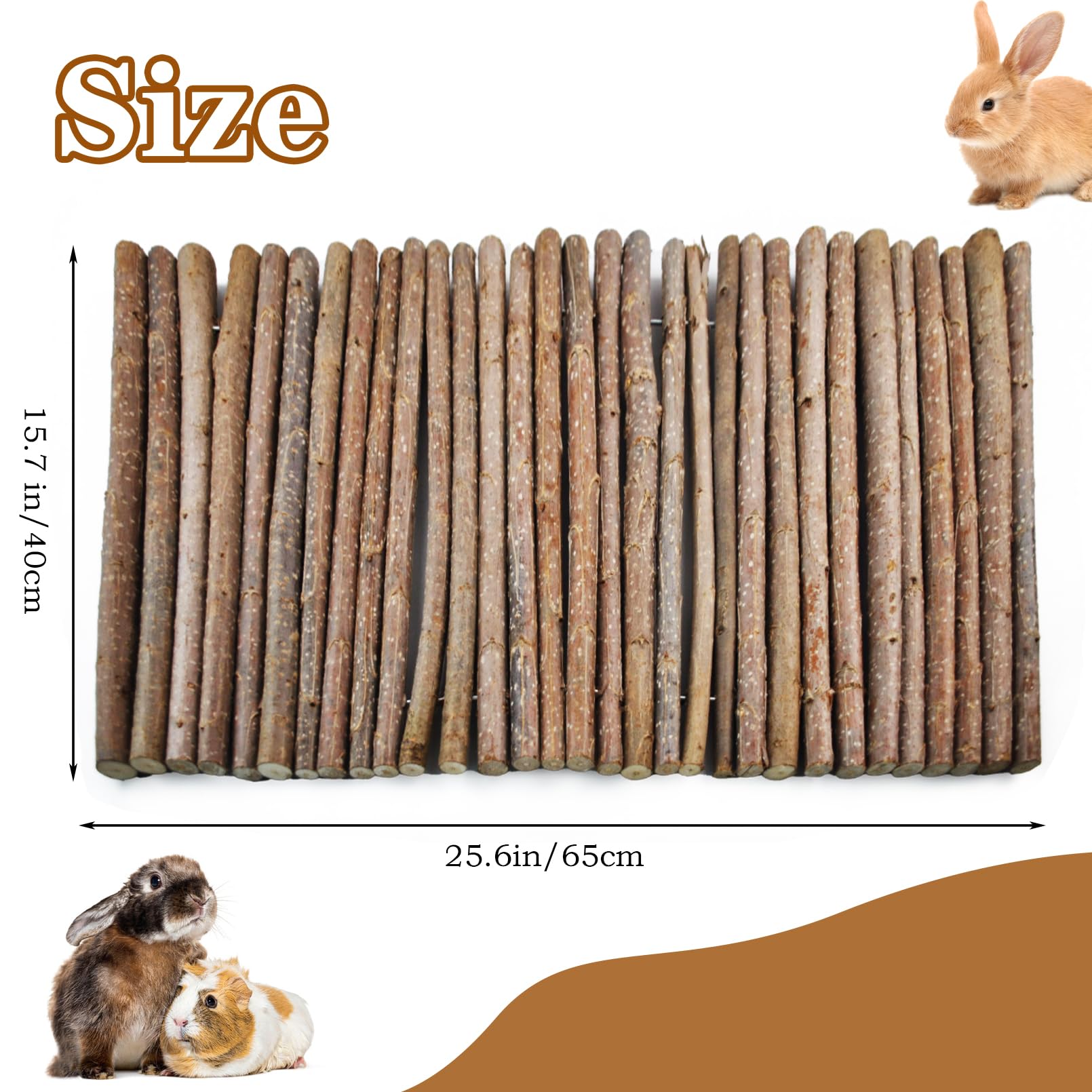 Kathson large-rodent-habitat-compatibility suitable for bigger pets and shared enclosures.