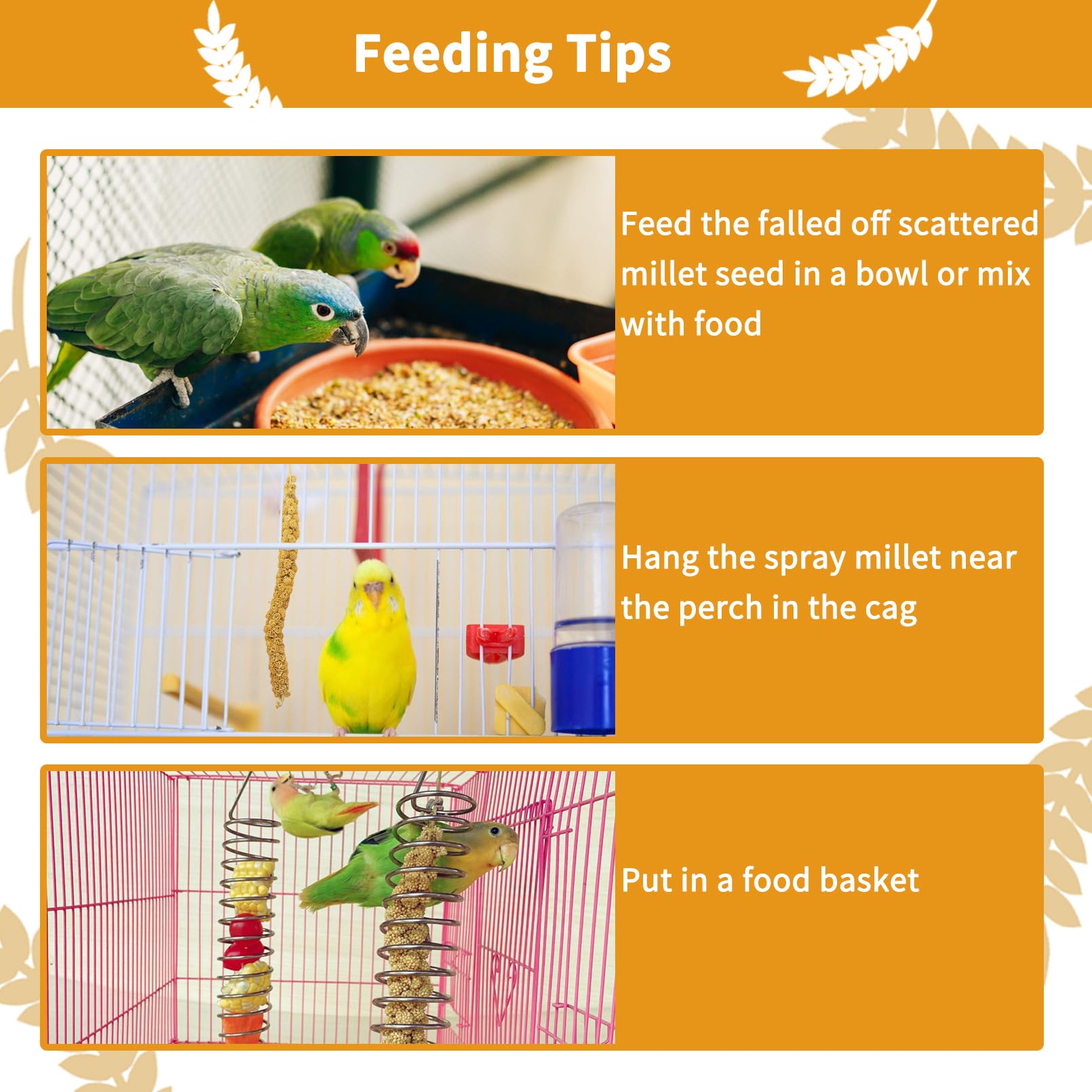kathson millet spray with birds—ideal enrichment during feeding sessions.