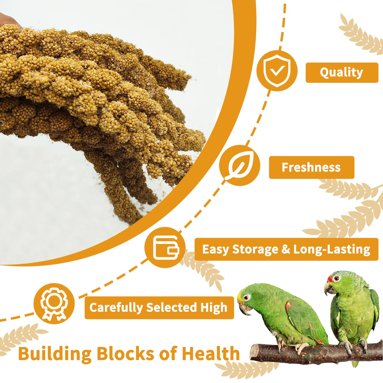 kathson millet spray closeup—plump, additive-free grains rich in nutrients.