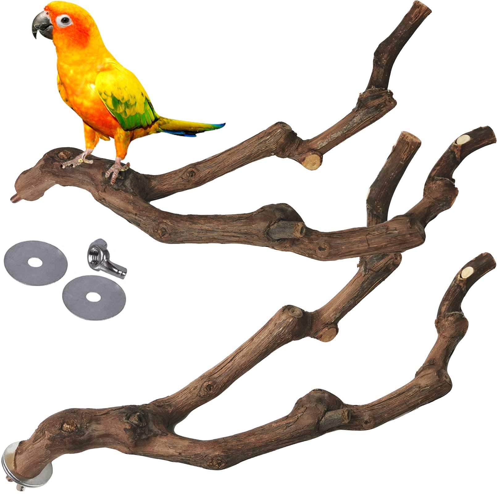 Kathson natural grapevine parrot perch branch for secure grip and chewable enrichment.