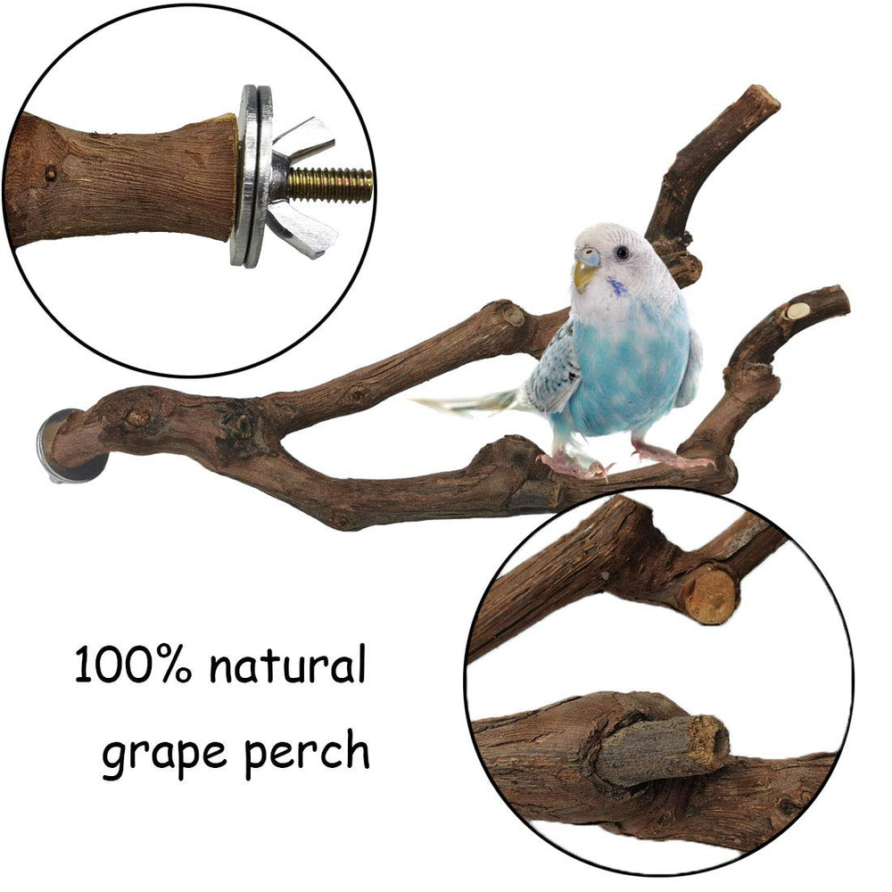 Kathson parrot perch assembly with wing nut and bolt for easy setup.