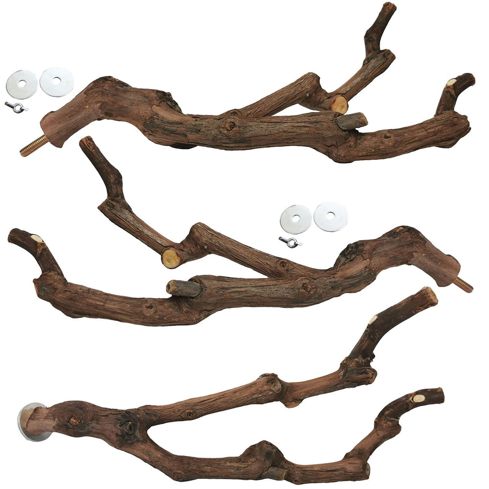Kathson parrot perch grapevine branch textured grip for secure footing.