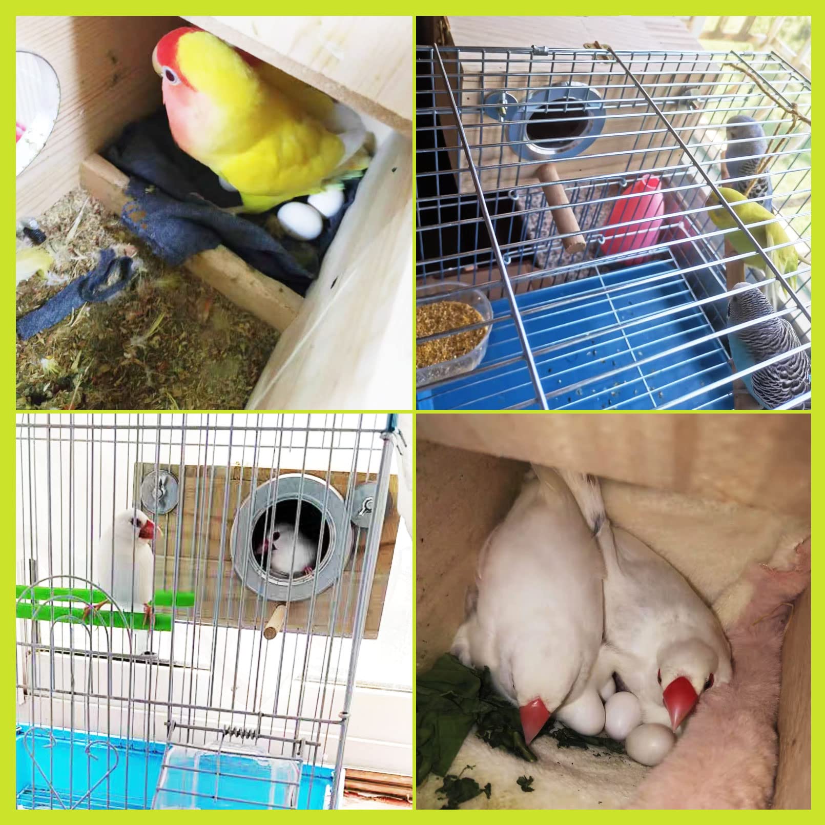 Kathson parakeet nest box fits inside or outside cages for various birds.