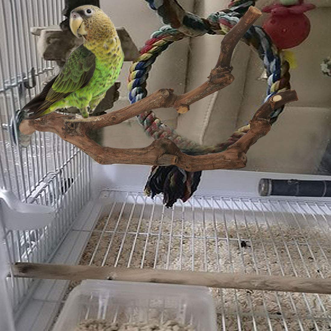 Kathson parrot perch suitable for cockatiels and lovebirds in cages