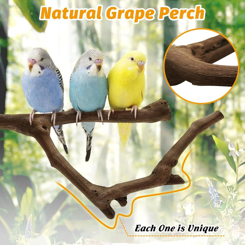 Kathson parrot perch textured surface promotes secure gripping during climbing