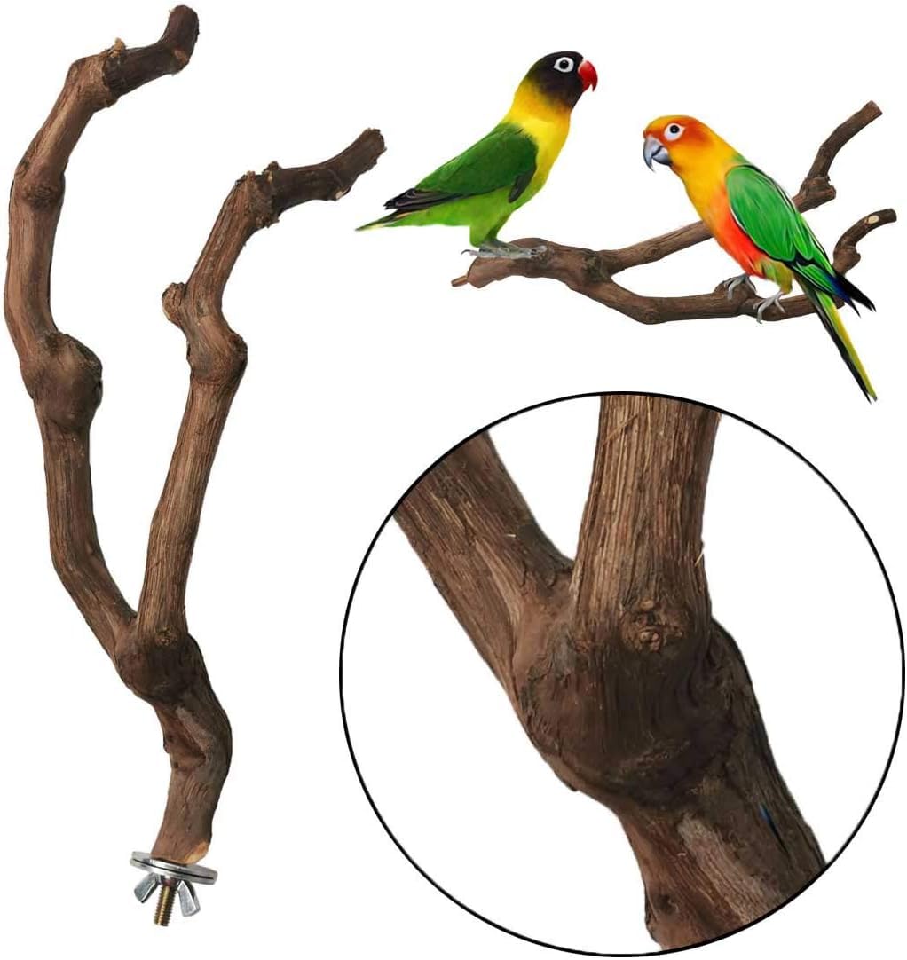 Kathson perch assembly easy-installation guidance showing wing-nut setup