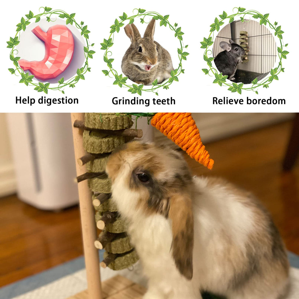 Kathson apple wood stick teeth-action image shows daily chewing for dental wear