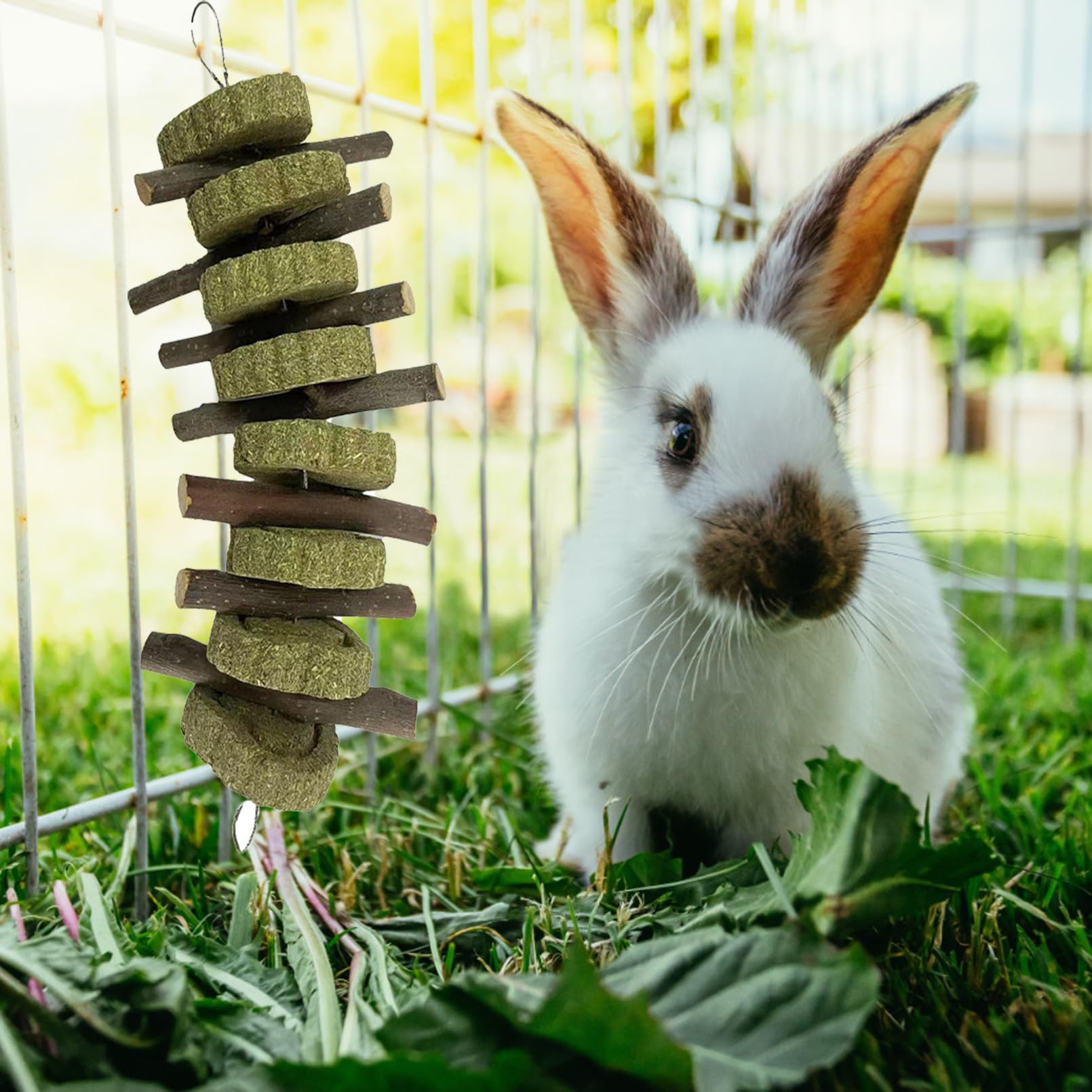 Kathson packaging image shows 4-piece natural apple wood chew set