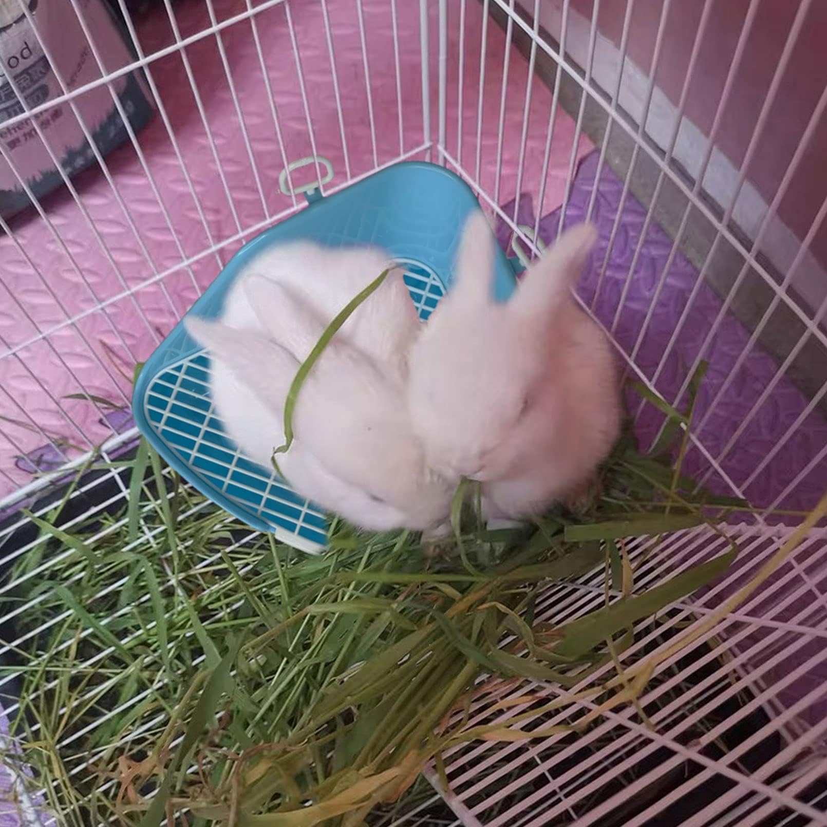 Kathson rabbit litter box smooth side panels reduce mess and simplify pouring