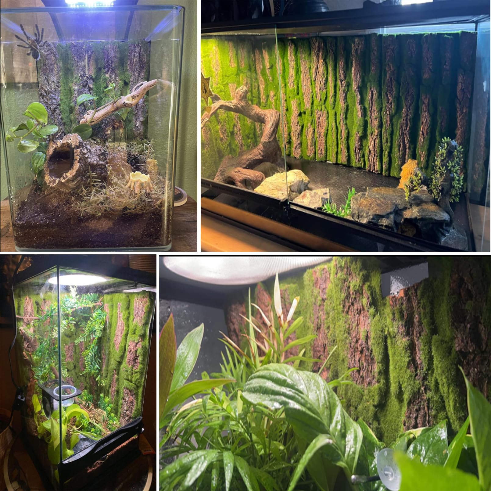Kathson reptile cork bark background three piece set provides durable, reusable habitat accents.