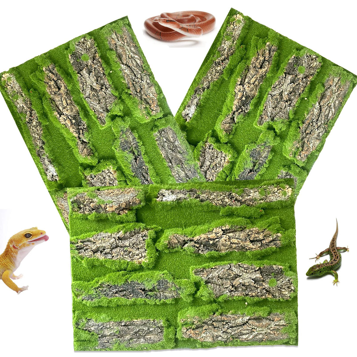 Kathson reptile cork bark background natural moss closeup enhances habitat realism.