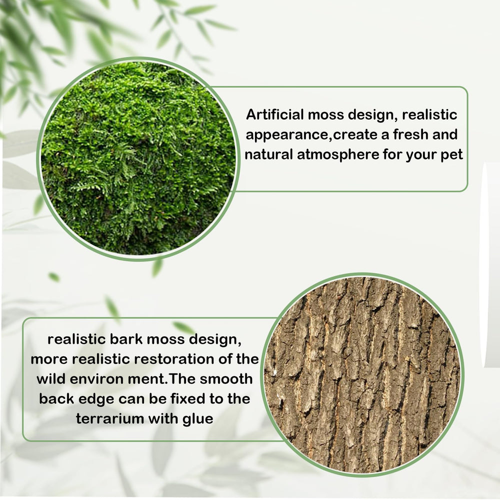 Kathson reptile cork bark background no glue setup enables quick rearrangement.