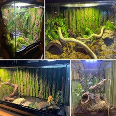 Kathson reptile cork bark background wall backdrop provides versatile background for geckos.
