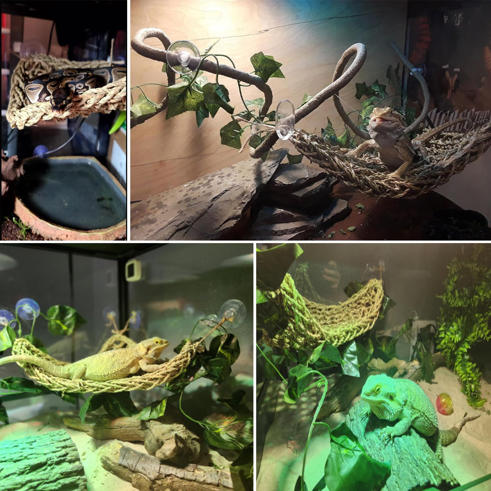 Kathson reptile vine decoration adds realistic jungle feel to habitat
