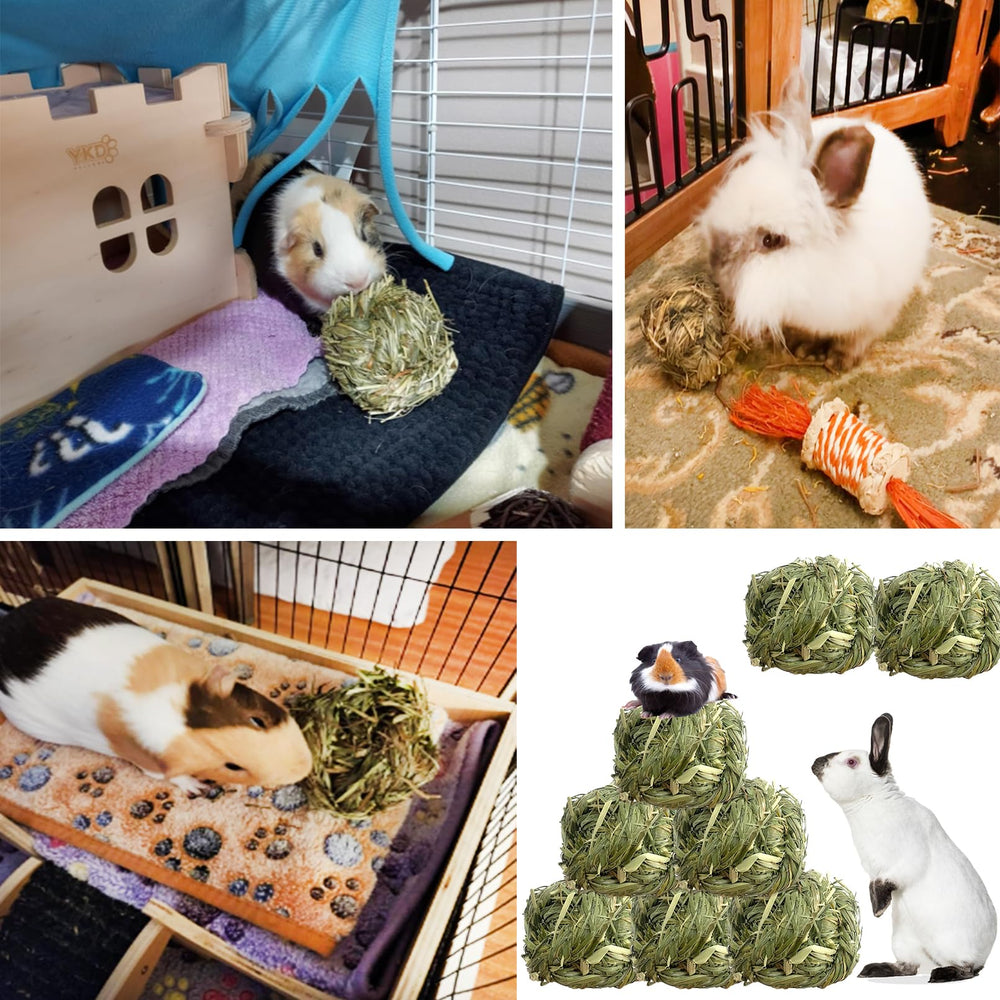 Kathson six-pack rabbit toy in packaging highlights durable, authentic grass chew