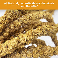 kathson sun-dried millet spray packaging—airtight seal for long-lasting freshness.