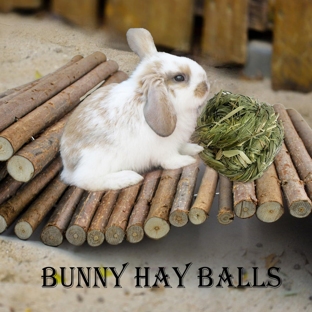 Kathson Timothy grass chew ball in use for interactive pet play and enrichment