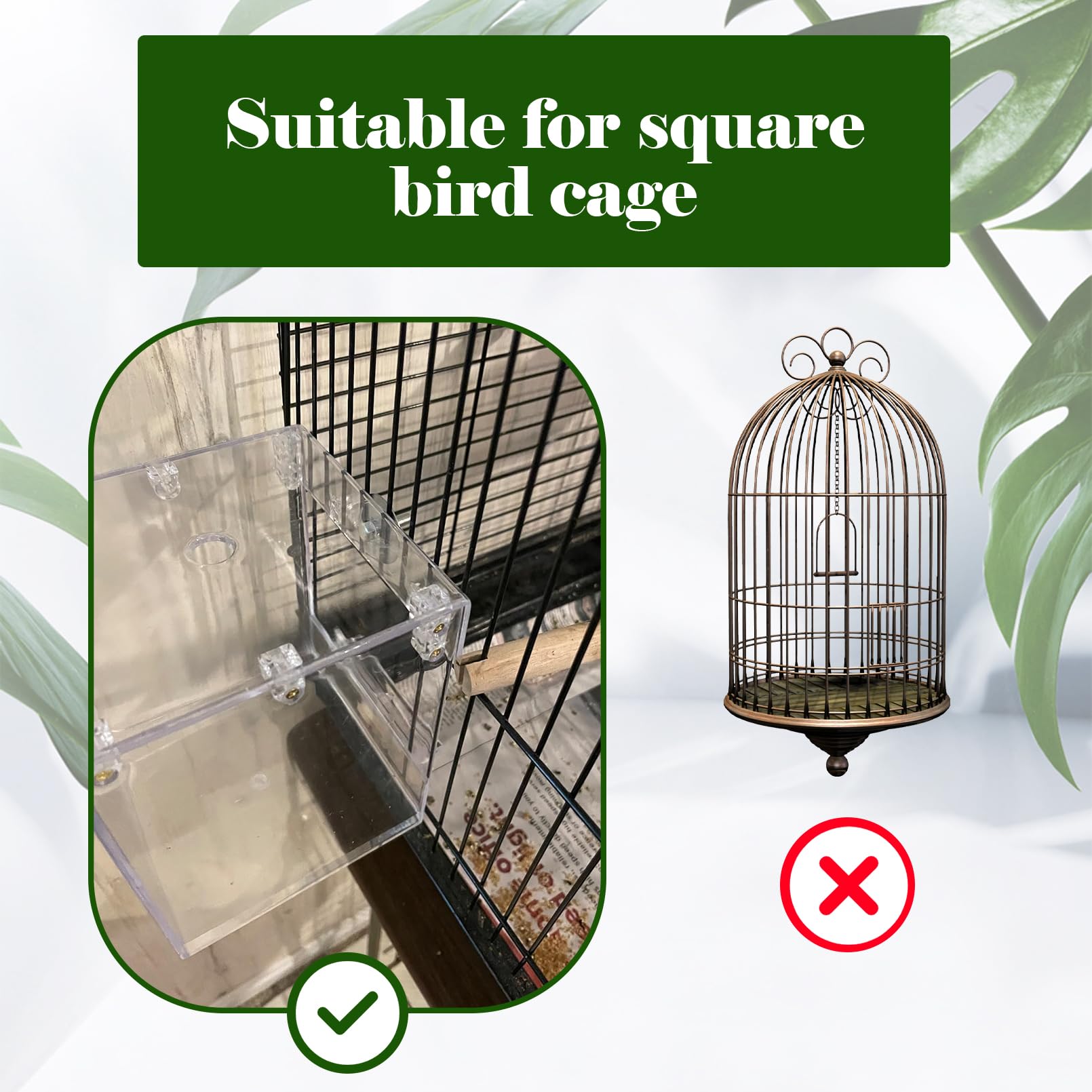 Kathson transparent acrylic bird bath enables clear observation during bathing