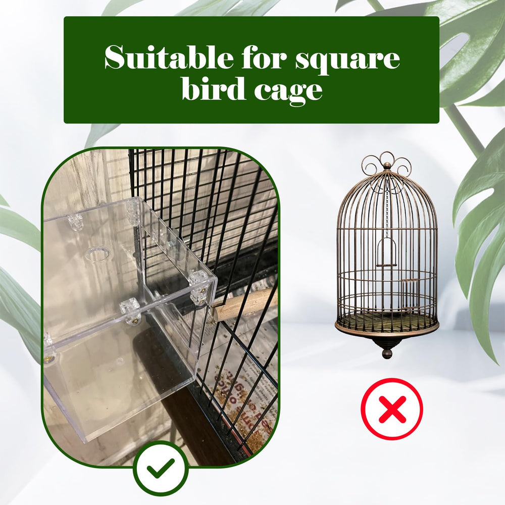 Kathson transparent acrylic bird bath enables clear observation during bathing