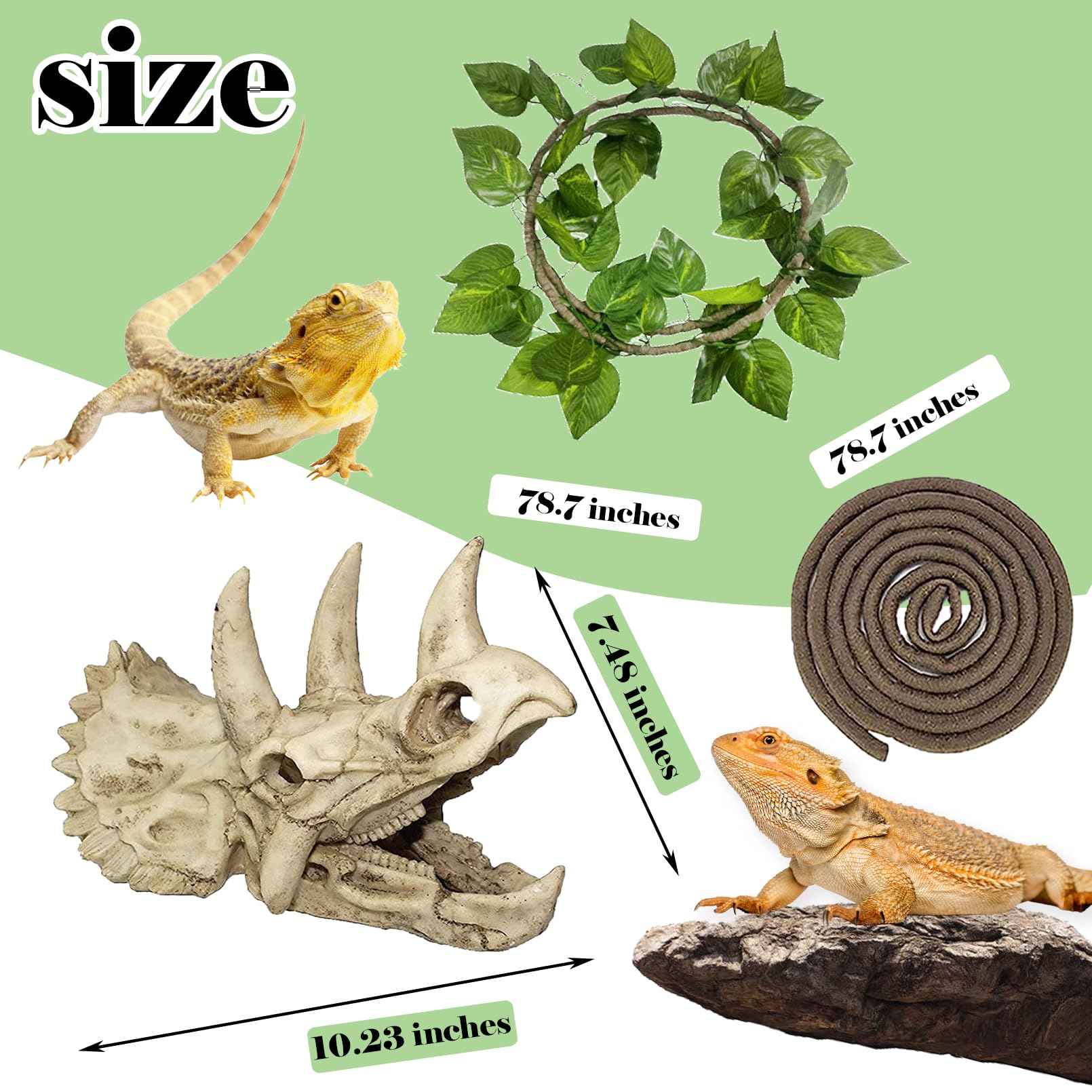 Kathson triceratops skull detail for authentic terrarium look