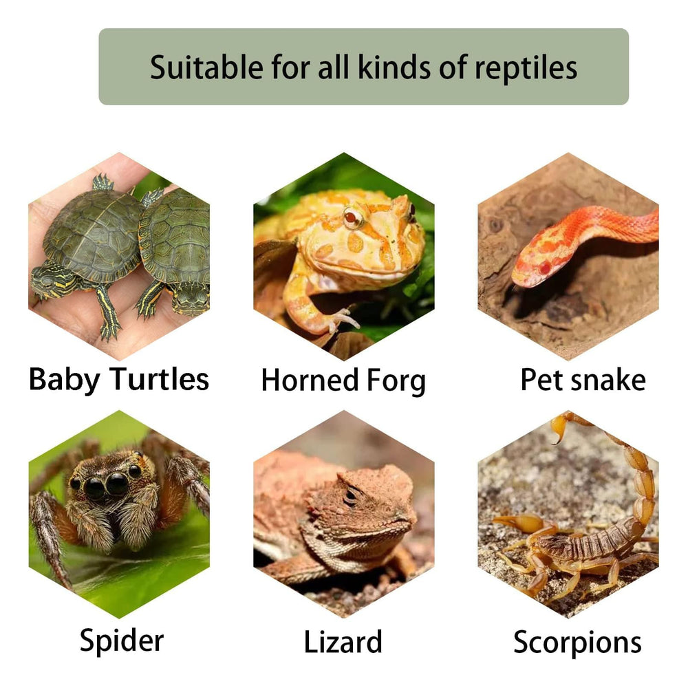 kathson Turtle Basking Platform medium size demonstrates suitable dimensions for baby turtles