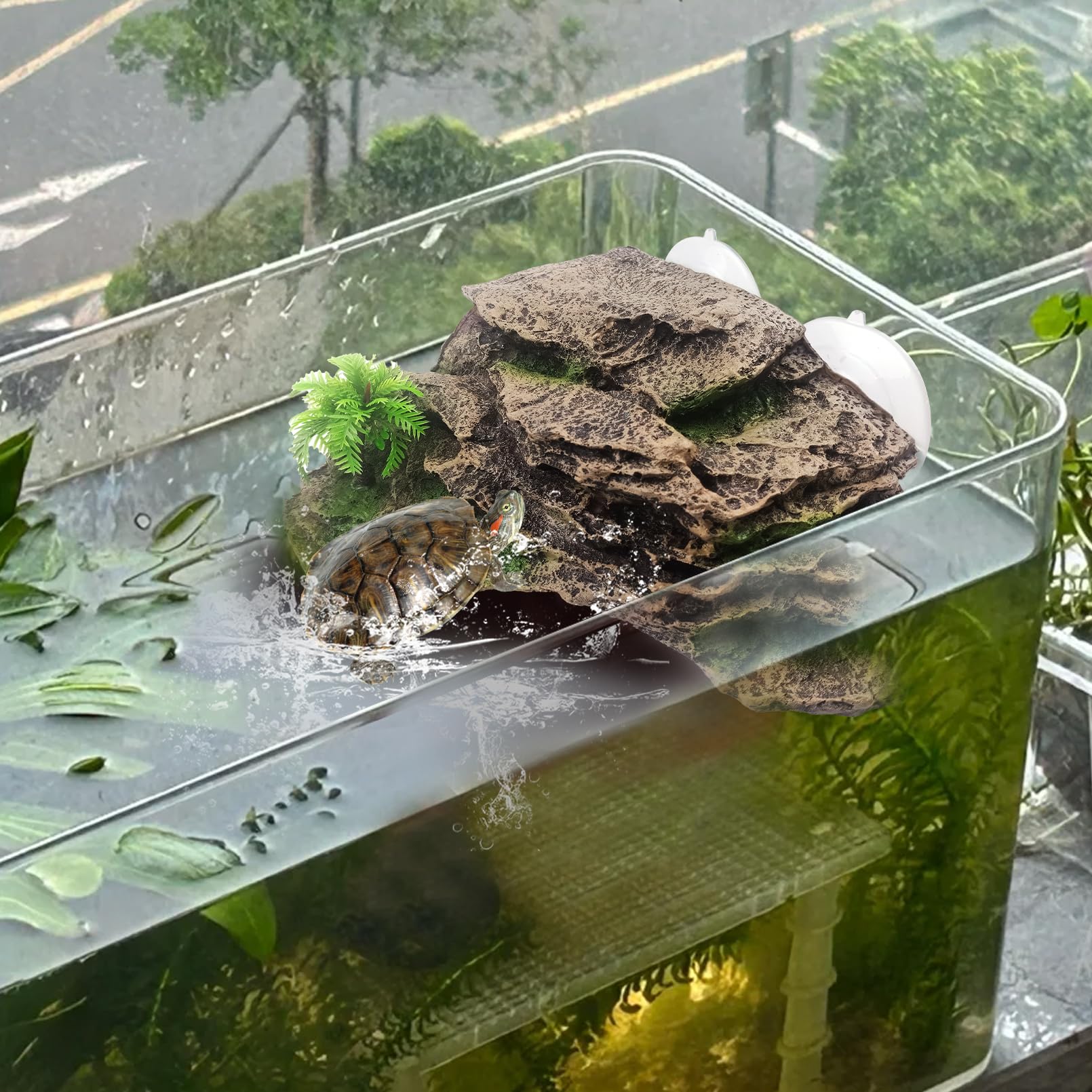 Kathson turtle ramp-climbing-design supports easy ascent and exploration.