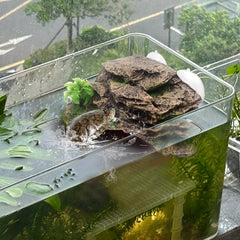 Kathson turtle ramp-climbing-design supports easy ascent and exploration.
