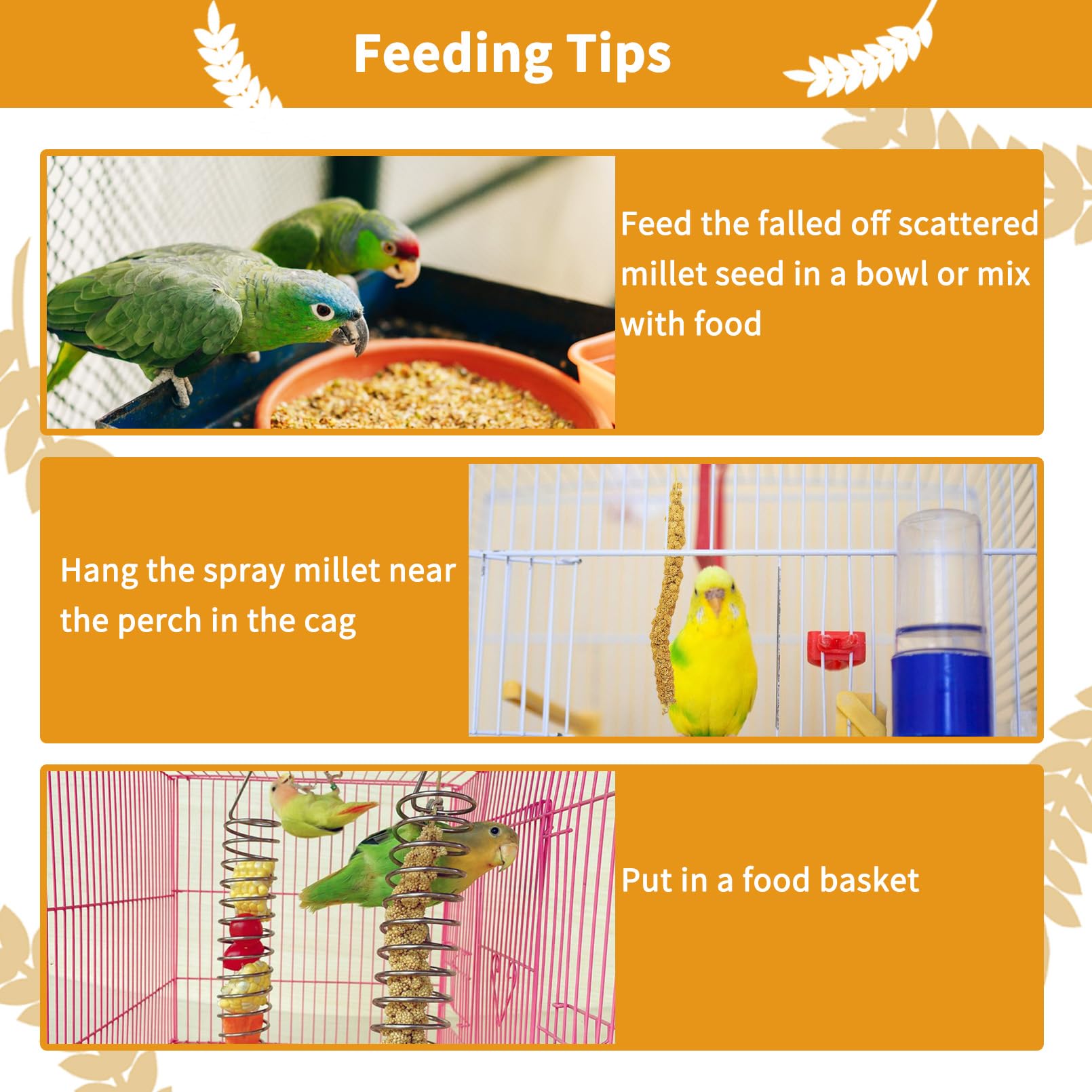 Kathson wild-grown millet sprays—fresh, large plump stems ideal for birds' enrichment.
